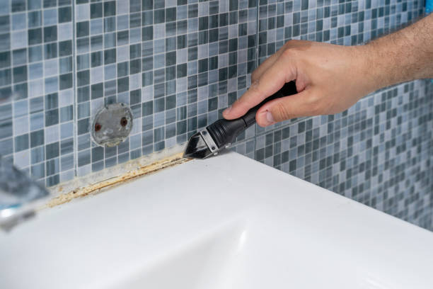 Best Black Mold Remediation in Kalkaska, MI